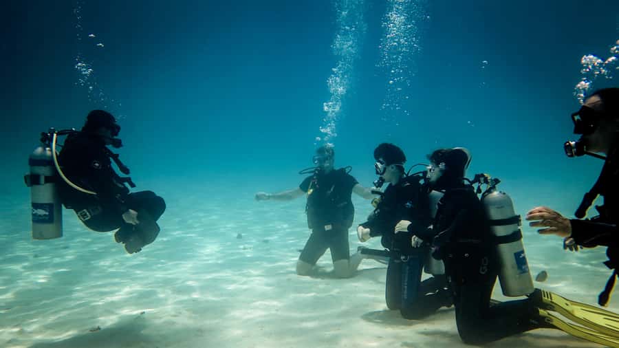Hurghada: 3-Day PADI Open Water Diving Course - Day two: building control and confidence