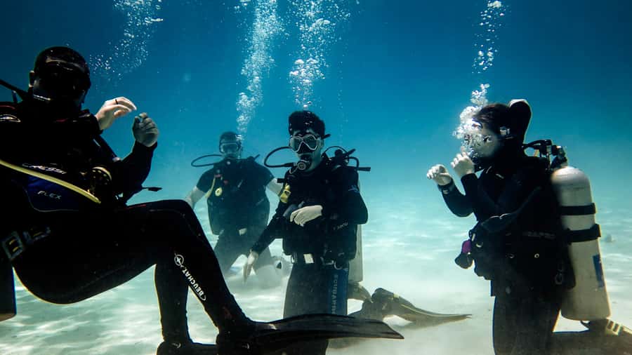 Hurghada: 3-Day PADI Open Water Diving Course - Day one: equipment, theory, and getting comfortable underwater