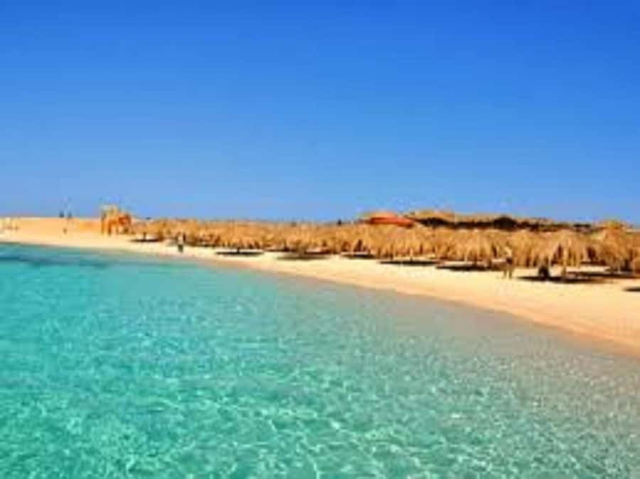 Hurghada: 3-Island Speedboat, Dolphin Watching & Snorkeling - Is $233 good value for two people?