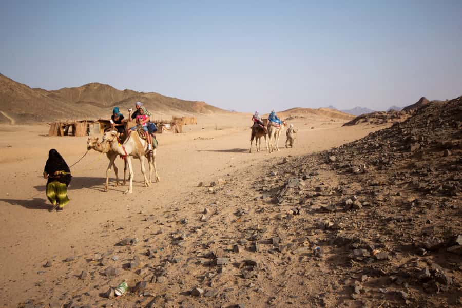 Hurghada: 6-Hour Jeep Desert Safari, Dinner, and Show - Who should book this desert day