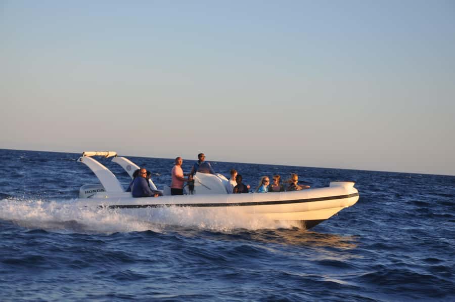 Hurghada: 6 Islands Tour with Dolphin Watching & Snorkelling - Magawish Island and the middle-of-nowhere swim