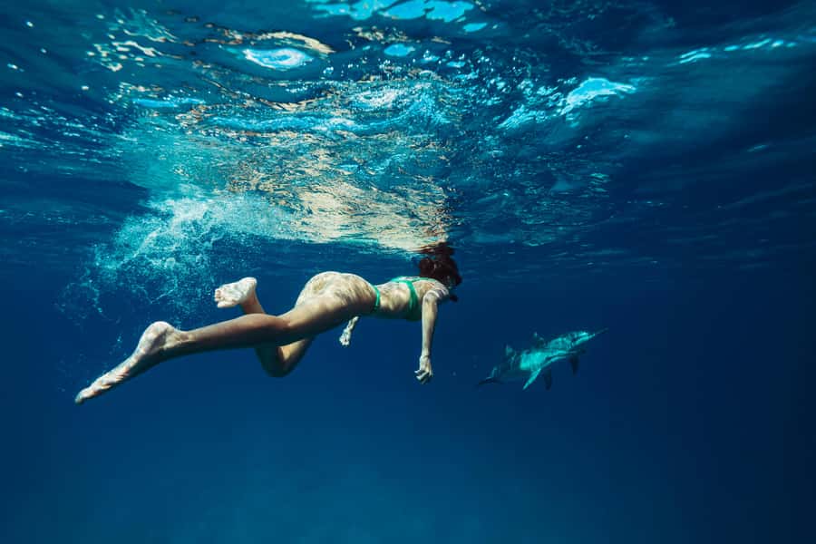 Hurghada: All-Inclusive Elite VIP Dolphin House & Massage - Snorkeling the Red Sea reefs