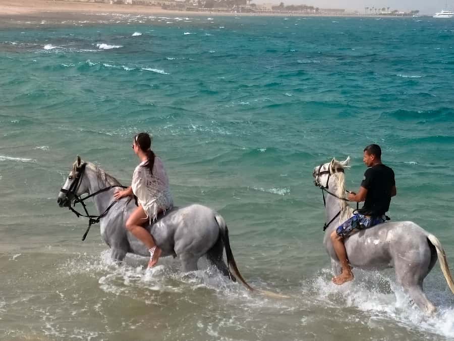 Hurghada: Arabian Desert and Sea Horseback Adventure - Reaching the Red Sea shore