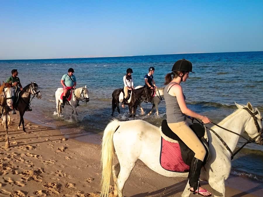Hurghada: Arabian Desert and Sea Horseback Adventure - The quad-bike and horse-riding combination