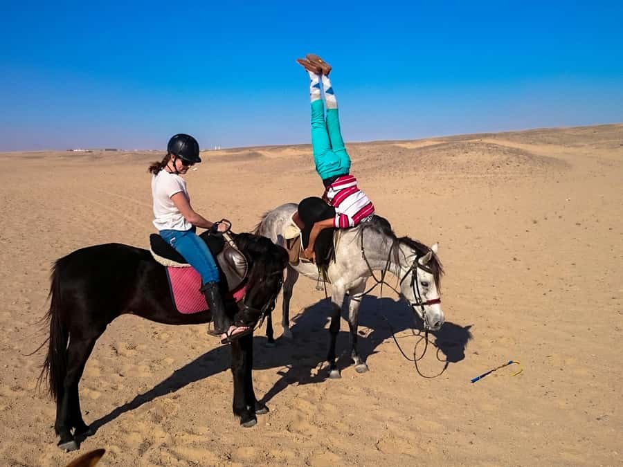 Hurghada: Arabian Desert and Sea Horseback Adventure - What the $20 price really gives you