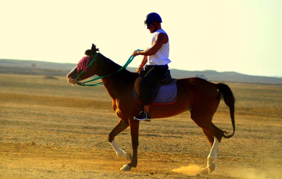 Hurghada: Arabian Desert and Sea Horseback Adventure - What to bring for comfort and safety