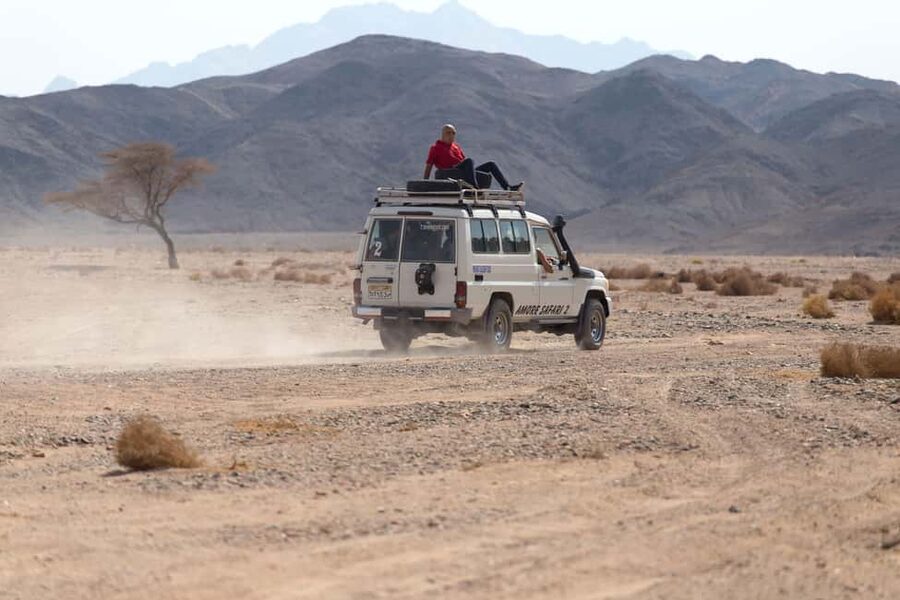 Hurghada: ATV Quad, Jeep and Buggy Safari with BBQ Dinner - ATV quads: the most substantial ride