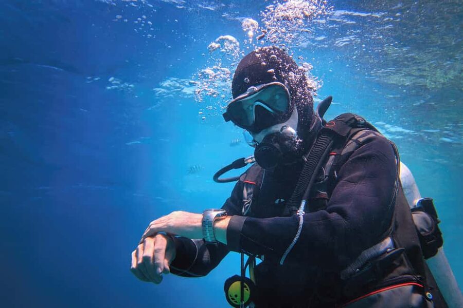 Hurghada: Beginners Scuba Diving Full-Day Boat Trip & Lunch - What You May See at the Two Red Sea Sites