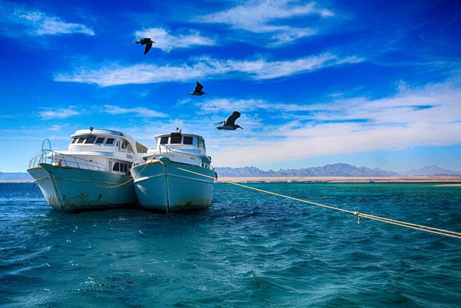 Hurghada: Beginners Scuba Diving Full-Day Boat Trip & Lunch - Lunch, Drinks, and Life on the Boat
