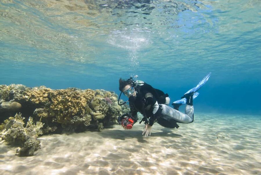 Hurghada: Beginners Scuba Diving Full-Day Boat Trip & Lunch - Is $30 Good Value?