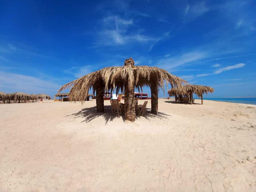 Hurghada: Boat trip to Magawish island with Multi Options - Why Magawish works as a full-day escape