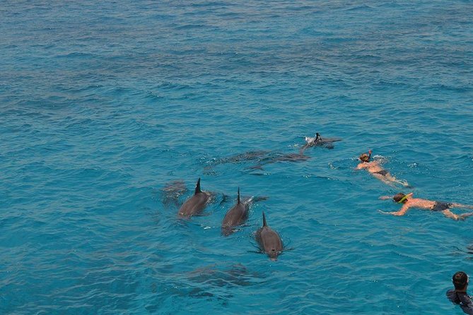 Hurghada Boat Trip to See Dolphins With Snorkeling and Lunch - Banana boat and sofa boat rides
