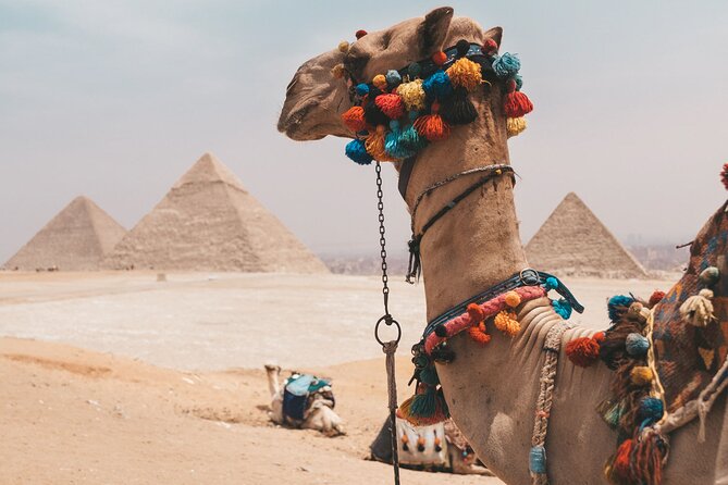 Hurghada: Cairo and Giza Highlights by mini Van with BBQ Lunch - Why this Hurghada to Cairo trip is tempting