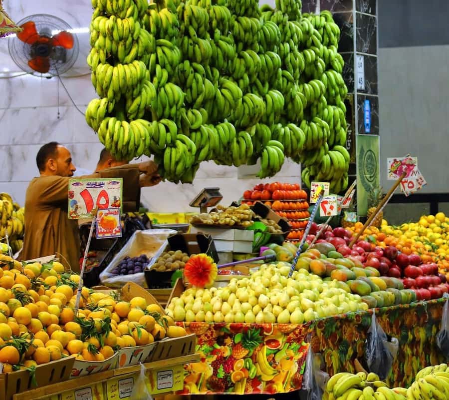 Hurghada: City Guided Tour with Local Market Stop - Hurghada Marina and the Red Sea waterfront