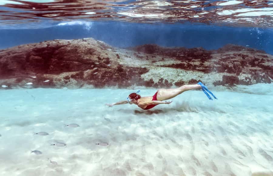Hurghada: Day Snorkeling with Dolphins - Coral reef snorkeling after the dolphins