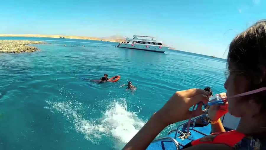 Hurghada: Day Snorkeling with Dolphins - Photos, videos, and the extra-cost details