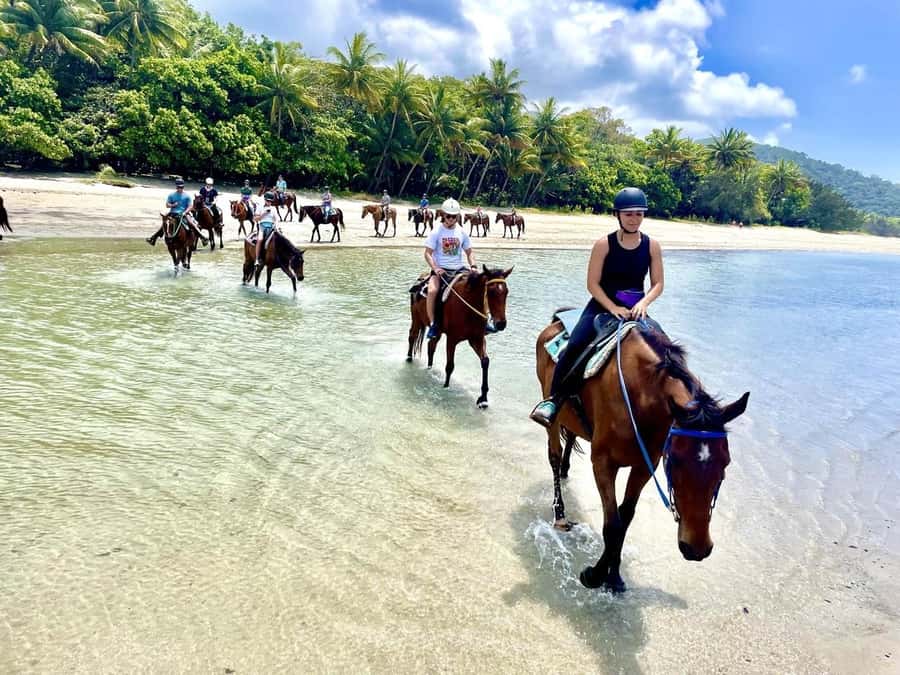 Hurghada: Desert and Sea Horseback Riding Tour with Transfer - Key points to know before you book