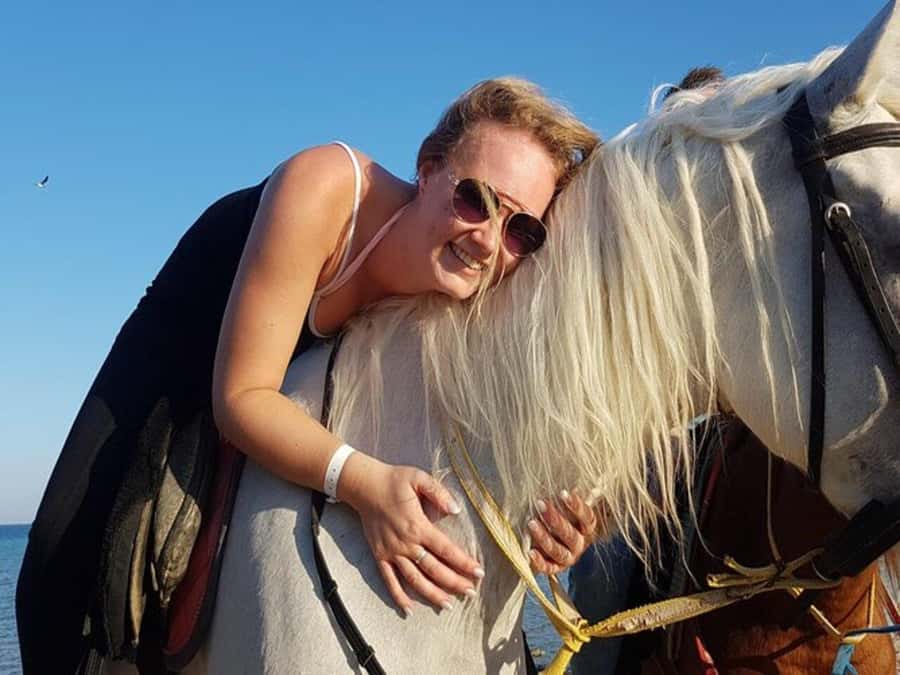 Hurghada: Desert and Sea Horseback Riding Tour with Transfer - Should you book the Hurghada desert and sea ride?