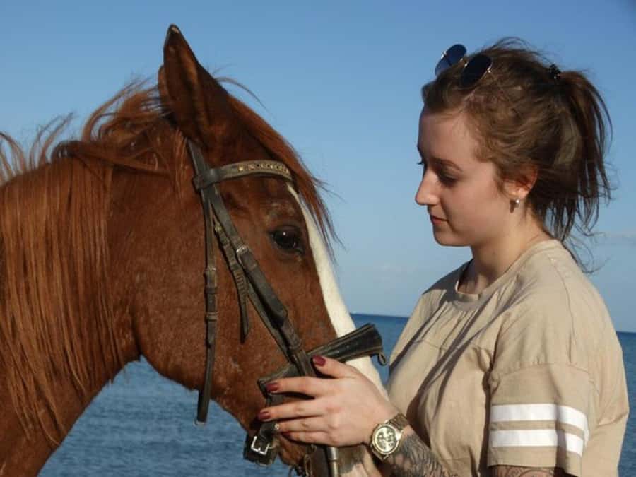 Hurghada: Desert and Sea Horseback Riding Tour with Transfer - From your Hurghada hotel to the stable