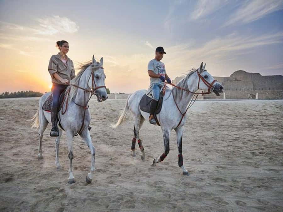 Hurghada: Desert and Sea Horseback Riding Tour with Transfer - Crossing the Hurghada desert