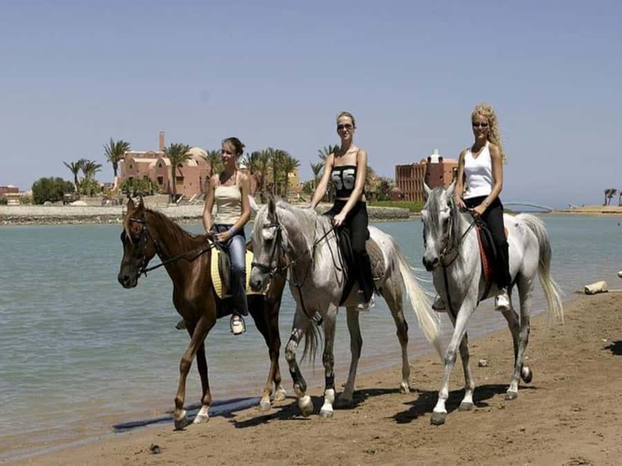 Hurghada: Desert and Sea Horseback Riding Tour with Transfer - Riding into the Red Sea
