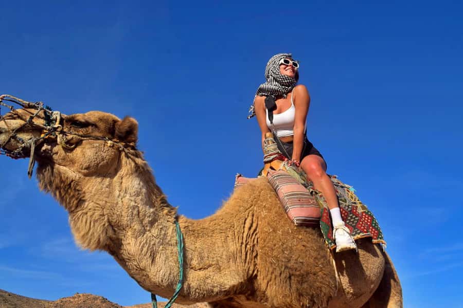 Hurghada: Desert Quad, Bedouin Village, and Camel Ride Tour - At a Glance: What You Get for $22
