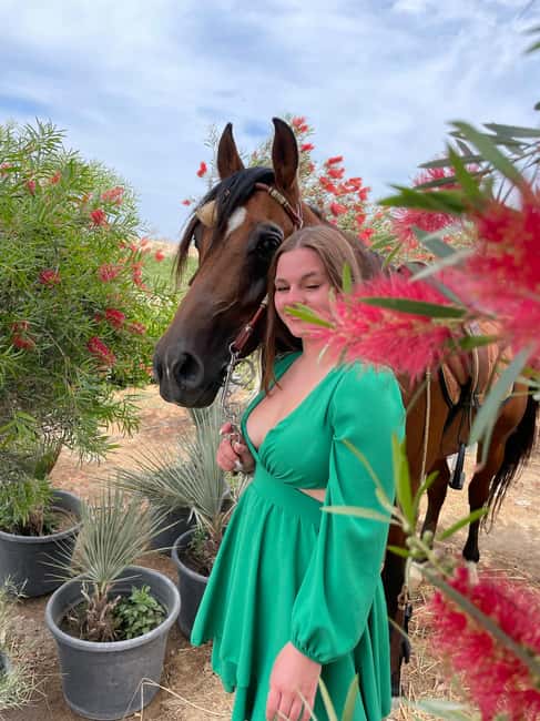 Hurghada: Desert & Sea Horse Riding with + 360° Photos - The Red Sea section and optional horse swimming