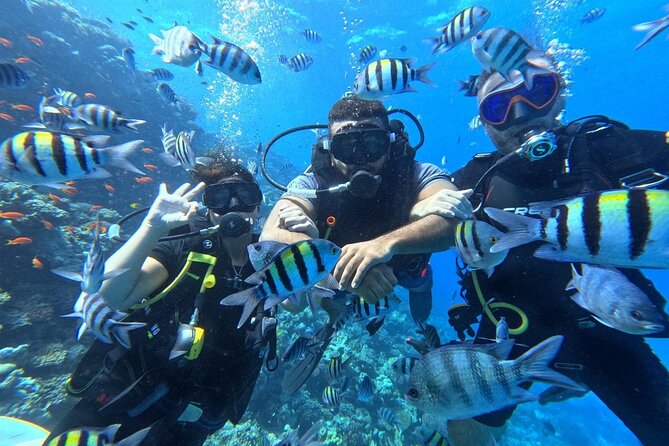 Hurghada Diving Adventure one Day with two Dives Boat Trip - What the seven-hour Hurghada boat day is really like