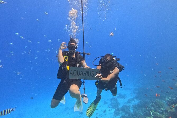 Hurghada Diving Adventure one Day with two Dives Boat Trip - Lunch and the pause between water sessions
