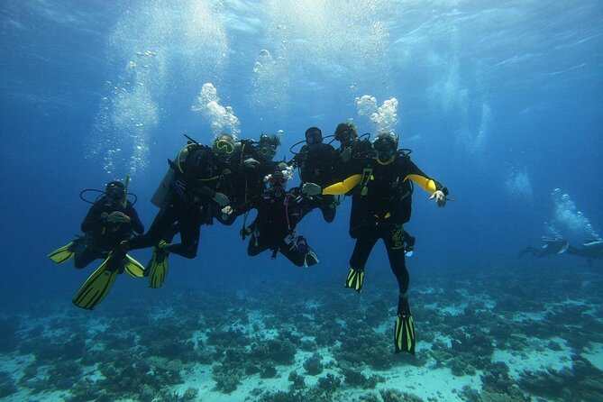 Hurghada Diving Adventure one Day with two Dives Boat Trip - Is $26.17 a good value?