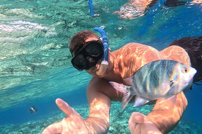 Hurghada Diving Adventure one Day with two Dives Boat Trip - Starting at Aquarius inside the Marriott Beach Resort