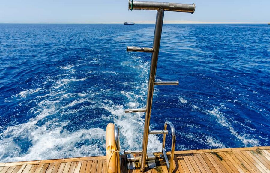 Hurghada: Dolphin & Coral Reef Snorkeling Tour with Lunch - Why the dolphins are the star of this Hurghada trip