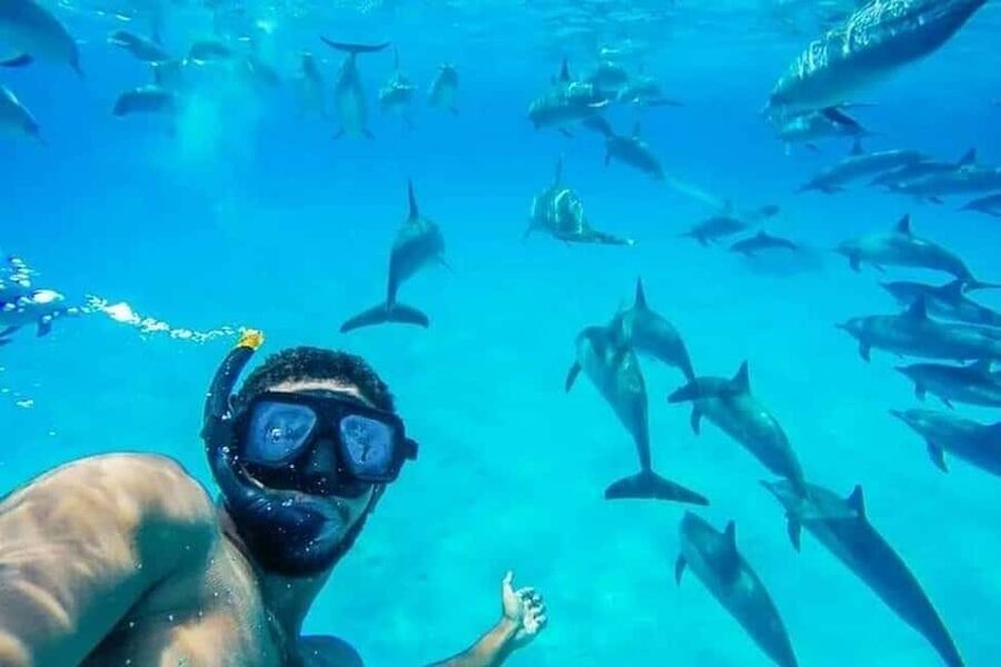 Hurghada: Dolphin & Coral Reef Snorkeling Tour with Lunch - Sailing from Hurghada and finding the boat