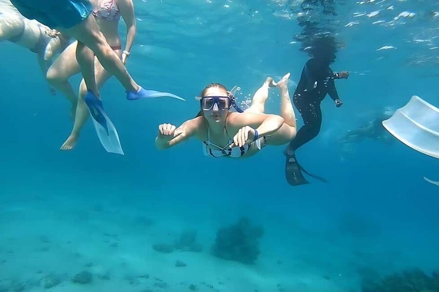 Hurghada: Dolphin Cruise with Snorkeling & Buffet Lunch - Should you book it?