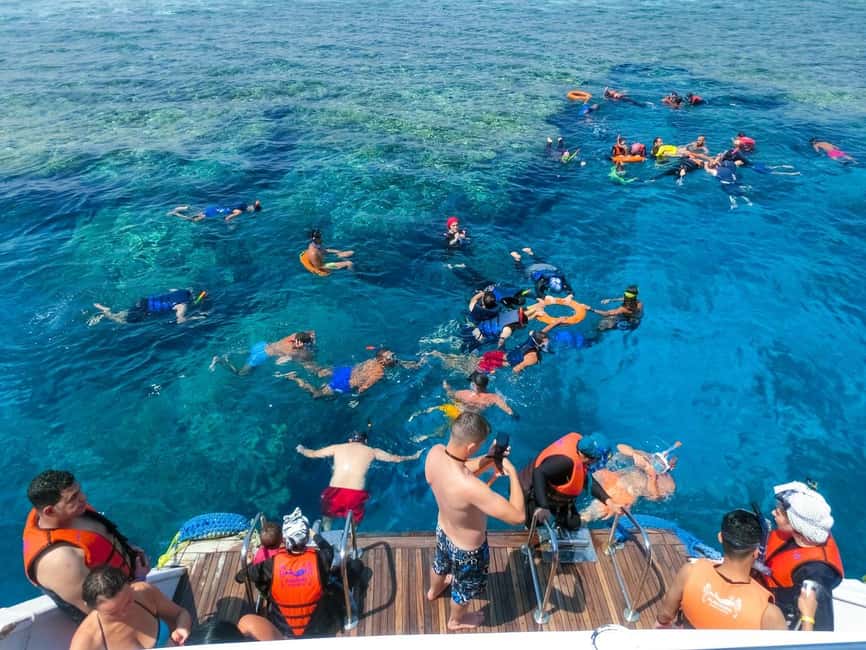 Hurghada: Dolphin Watching Boat Tour with Snorkeling & Lunch - What the $25 price really covers