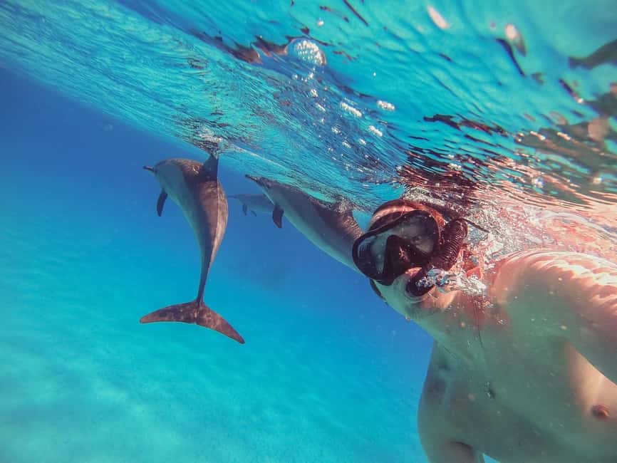 Hurghada: Dolphin Watching Boat Tour with Snorkeling & Lunch - Searching for dolphins in the open Red Sea