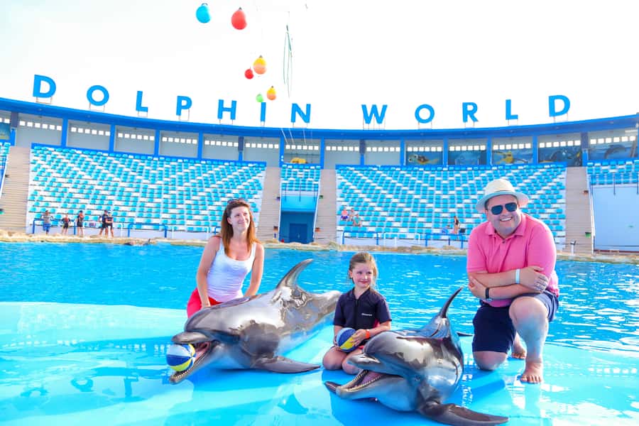 Hurghada: Dolphin World Show with Walruses and Pickup - Arriving early and finding your seat