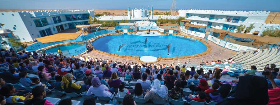 Hurghada: Dolphin World Show with Walruses and Pickup - Getting from your hotel to Dolphin World
