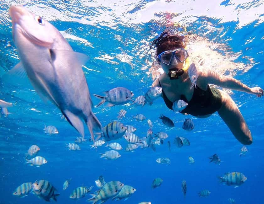 Hurghada:Eden Island Full-Day Trip with Water sports & Lunch - Key details to know before you book
