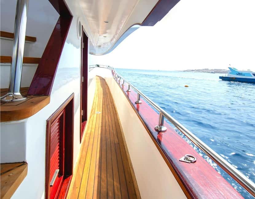 Hurghada:Eden Island Full-Day Trip with Water sports & Lunch - Snorkeling above Red Sea reefs