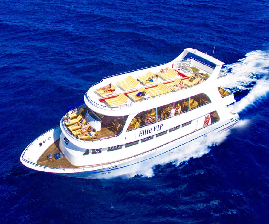 Hurghada: Elite vip snorkeling cruise with BBQ buffet lunch - First snorkeling stop: coral and clear water