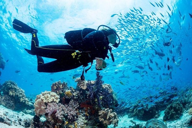 Hurghada: Full-Day Diving Tour with Lunch & Two Dive Sites - Who will enjoy this trip most