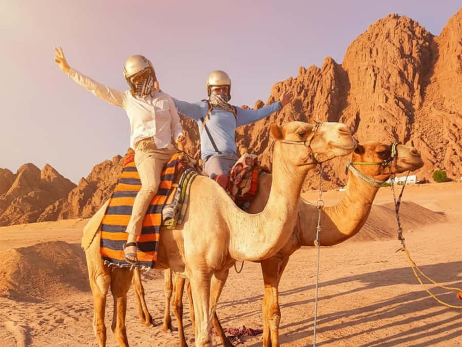 Hurghada: Full-Day Quad & Camel Ride, Stargazing, & Dinner - From Hurghada hotels to the open desert
