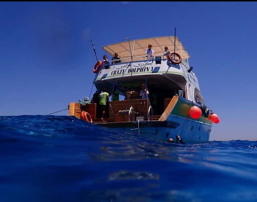 Hurghada: Full-Day Scuba Diving Tour with 2 Sites and Lunch - Who should book this experience?