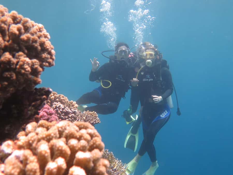 Hurghada: Full-Day Scuba Diving Tour with 2 Sites and Lunch - What the Hurghada day is really like