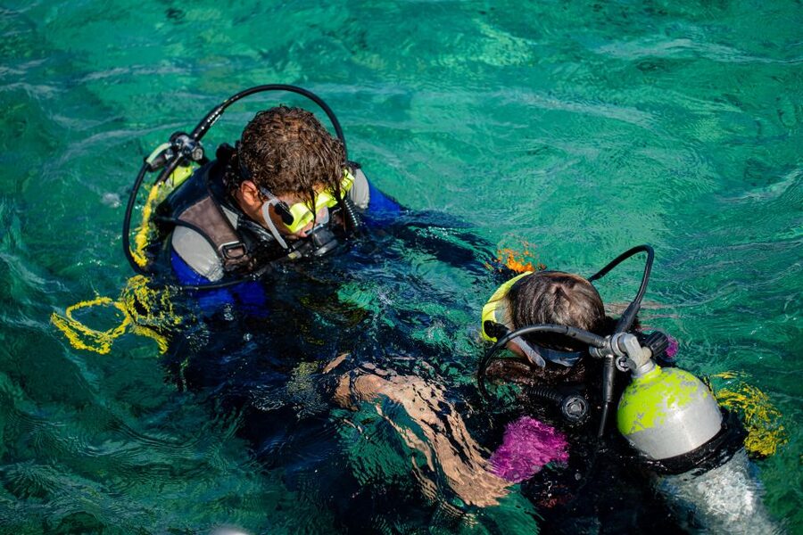 Hurghada: Full-Day Scuba Diving Tour with 2 Sites and Lunch - The second site and what changes for certified participants
