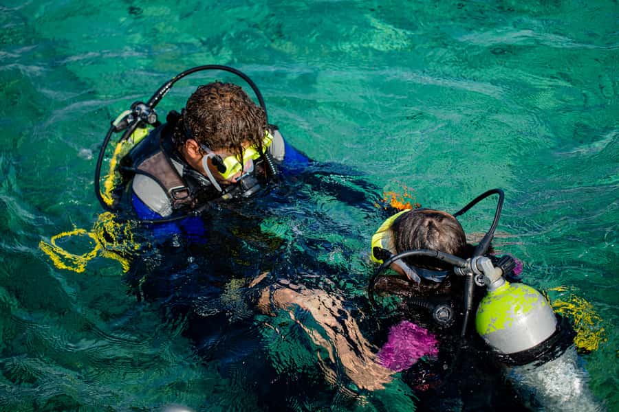 Hurghada: Full-Day Scuba Diving Tour with 2 Sites and Lunch - Photos and videos from below the surface