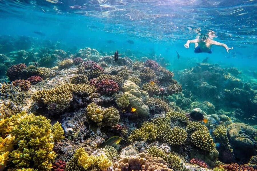 Hurghada: Full-Day Snorkeling Tour in Sharm El Naga w/Lunch - Booking Advice Before You Pay