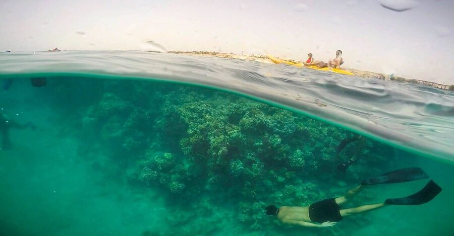 Hurghada: Full-Day Snorkeling Tour in Sharm El Naga w/Lunch - Snorkeling Over Coral and Fish