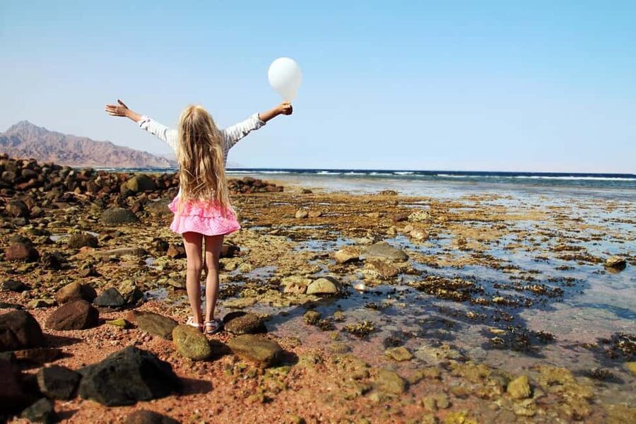 Hurghada: Full-Day Snorkeling Tour in Sharm El Naga w/Lunch - Beach Time Between Snorkeling Sessions